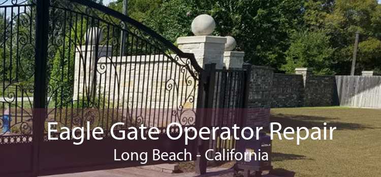 Eagle Gate Operator Repair Long Beach - California